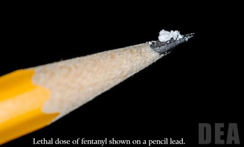 fentanyl